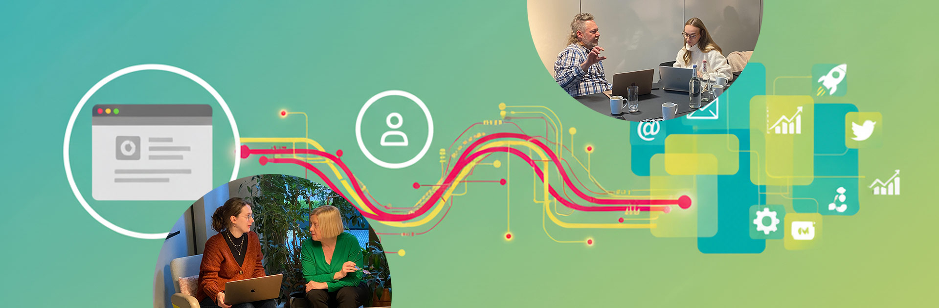 Website Plattform Potenzial Check